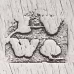 Meesterteken van zilversmid Jacob van Wijk Sr te Amsterdam Zilver.nl
